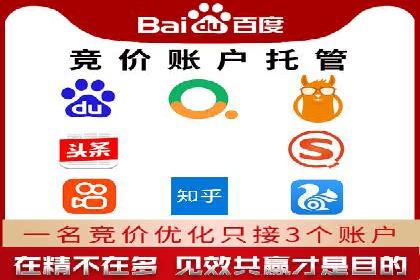 百度竞价广告的投放策略与成功案例分析